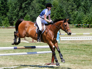 Horse jumping